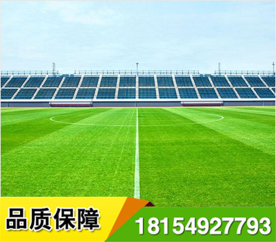 門球場人造草坪使用聚丙烯,聚乙烯原料,配上其他材料,使產(chǎn)品表面滑爽,草絲柔軟,運(yùn)動(dòng)員在草坪場上跑動(dòng),跳躍等行動(dòng)自如,沒有絆腳,滑腳等感覺,尤其在草坪的底墊上加有防振底層,它可以