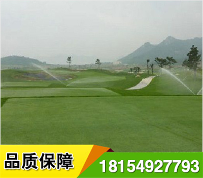 透水人造草坪一般草苗30~60mm,行針數(shù)在130~200針之間,行距為5~12mm之間.可適用于足球場,網(wǎng)球場,曲棍球場,高爾夫球場,體操,田徑等場地,是一種多功能,健身運(yùn)動(dòng)場地材料.
